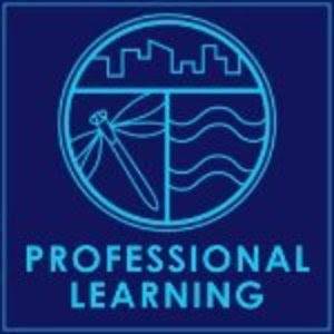 Professional Learning